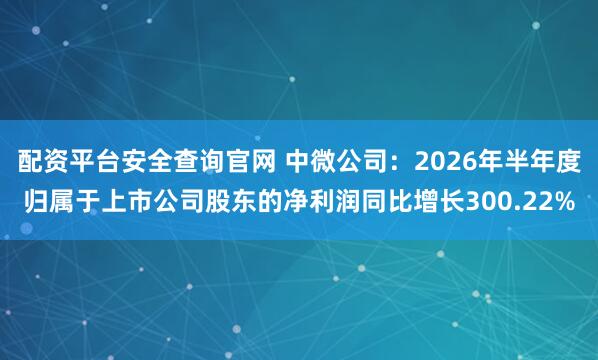 配资平台安全查询官网 中微公司：2026年半年度归属于上市公司股东的净利润同比增长300.22%